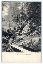 View In Glenn Rocks Nature Scene Stockbridge Massachusetts MA Antique Postcard picture