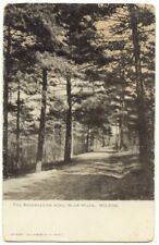 The Reservation Road Blue Hills Milton MA Postcard ~ Massachusetts picture