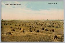 Enderlin North Dakota ND Wheat - Wheat And Wheat Postcard 1907-15 picture