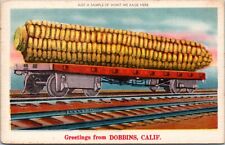 Postcard CA Dobbins Exaggeration Giant Corn Sample of what we raise here picture
