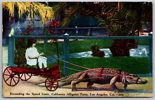 Vtg Los Angeles CA California Alligator Farm Pulling Girl Wagon 1910s Postcard picture