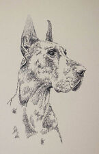Great Dane Cropped Dog Art Portrait Print #33 Kline adds your dogs name free. picture