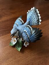 Lenox Blue Jay picture