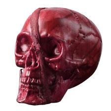 Bloody Head Skull Part Broken Severed Horror Scary Haunted House Halloween Decor picture