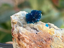 2.5cm Blue Veszelyite on Matrix from China picture