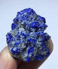 Lapis Lazuli With Gonnardite &  tiny Pyrite From Afghanistan picture