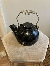 Vintage Antique Cast Iron Tea Kettle Pot picture