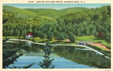 Postcard NC Blowing Rock Lake on the Cone Estate Linen Vintage PC K446 picture
