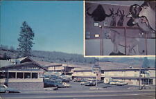 Weed California the Y Cafe & Motel taxidermy lion two views ~ unused postcard picture