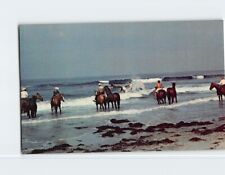 Postcard Thoroughbreds Water Therapy Racing at Del Mar California USA picture