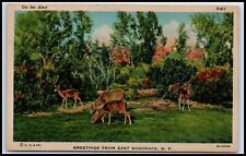 Postcard On The Alert Deer Greetings From East Schodack  Q46 picture