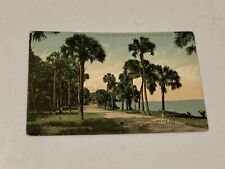 Rockledge, Florida Driveway Along the River Front Vintage Postcard C. 1910 picture