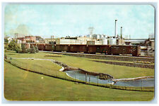c1950's Paper Mill Park and Lily Ponds Fort Frances Ontario Canada Postcard picture