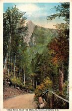 Dixville Notch NH Table Rock Near the Balsams Old Vtg Postcard 1918 DPO Postmark picture