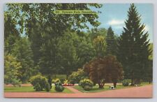 Uptown Park  Honesdale Pa Linen Postcard No 5077 picture
