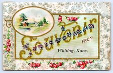 c1910 Souvenir From Whiting Kansas Vintage Jackson County KS Postcard picture
