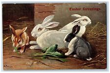 Easter Postcard Greetings Bunnies Rabbit Eating Leaf c1905 Unposted Antique picture