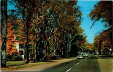 Vtg Greetings from Fryeburg Maine ME Scenic Street View 1950s Postcard picture