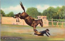 1939 Rodeo Postcard Cowboy / Bronco 