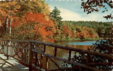 DEAR GRANNY, Madison, Wisconsin, May 31, 1978, AUTUM Postcard picture