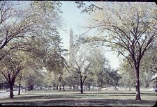 sl51 Original Slide 1950’s  Washington DC Monument / park 799a picture
