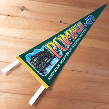 Museum Natural History Pompeii AD79 Pennant Travel Souvenir Vtg RARE SEE VIDEO picture