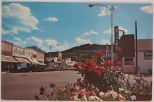 Vintage Postcard Main Street Paonia Delta County Colorado AA3 picture