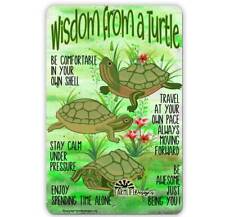 Turtle  Sign - Wisdom from a  Turtle, good advice, green turtles, Handmade 8x12  picture