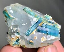 Indicolite Tourmaline Crystal Minerals Specimen @ Afghanistan 145 Carats #F2 picture