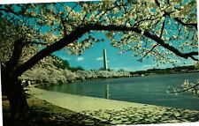 Vintage Postcard- WASHINGTON MONUMENT, WASHINGTON, D.C. picture