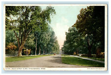 c1910s Main Street Elms, Stockbridge Massachusetts MA Phostint Postcard picture