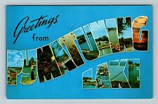 Pymatuning Lake OH-Ohio, LARGE Letter Greetings Vintage Souvenir Postcard picture
