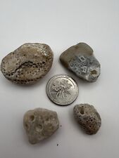 Charlevoix Honeycomb Fossil Lot Of 4 Fossils 1 That Is An Agate 1.84 Oz - S33 picture