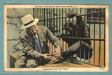 Postcard Soko The Chimp National Zoological Park Washington D. C. Posted 1938 picture