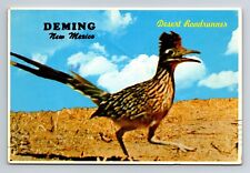 Vintage post card 5 3/4 x 4 1/8 inch DEMING New Mexico roadrunner picture