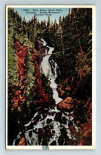 c1924 Postcard Estes Park CO Fern Lulu Falls Rocky Mountain Park picture