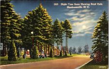 Hendersonville NC-North Carolina, Scenic Night View, Vintage Postcard picture