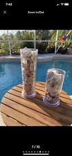 2 Vases Of Florida Sea shells picture