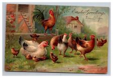 Postcard 1907 Easter Greetings Chickens Chicks Embossed picture
