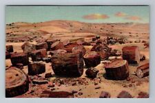 Petrified Forest AZ-Arizona Scattered Petrified Logs Vintage Souvenir Postcard picture