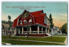 1913 Representative View Wichita Residence District Wichita Kansas KS Postcard picture