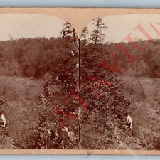 c1900s Outdoor Man Hiking Exploring Nature Amateur Real Photo Stereoview Vtg V42 picture