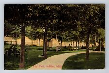 Cadillac MI-Michigan, City Park, Antique, Vintage Souvenir Postcard picture