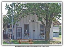 Detroit Hillsdale and Indiana Railroad-Saline Depot Saline Railway Postcard picture
