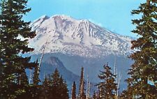 Mount Adams, Gifford Pinchot National Forest, Goldendale, Washington --POSTCARD picture