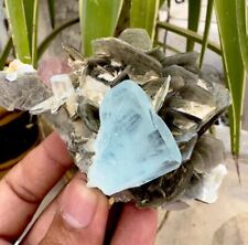 Aquamarine With Apatite Combine On Muscovite Specimen , Mineral Specimens picture