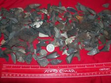 10 large fossil shark teeth per lot. picture