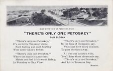 NW Petoskey MI c.1910 Birds eye View of Town THE POEM THERES ONLY ONE PETOSKEY picture