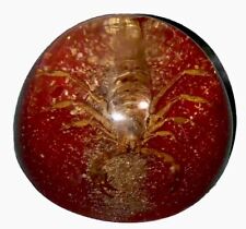 Vintage Large Lucite Paper Weight Real Scorpion ￼ Fun picture