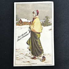 1880s Alden Fruit Vinegar Trade Card Victorian Woman Priscilla Winter Donaldson picture